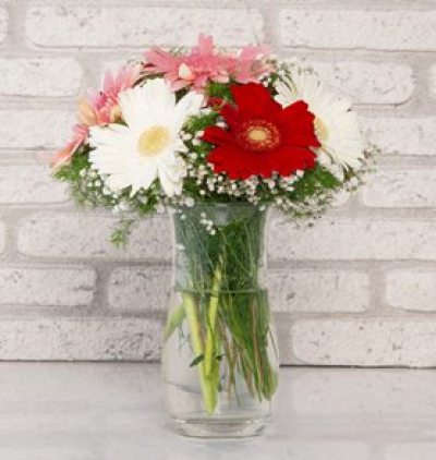 akvaryumda 7 beyaz gül Çiçeği & Ürünü Renkli Gerbera Aranjmanı 
