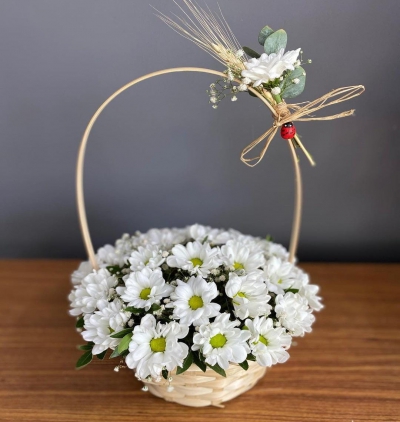 vazoda beyaz papatyam Çiçeği & Ürünü Sepette Papatya Arajmanı 