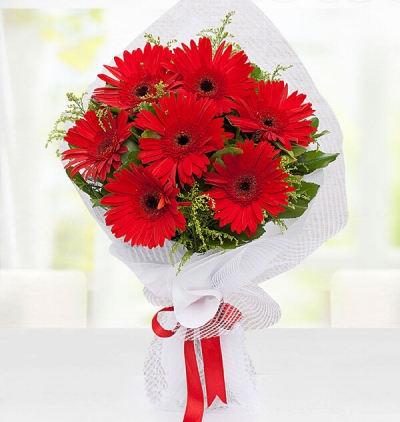 vazoda beyaz papatyam Çiçeği & Ürünü Kırmızı Gerbera Buketi 